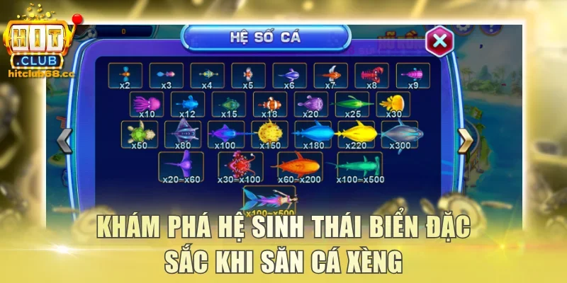 Khám phá hệ sinh thái biển đặc sắc khi săn cá xèng