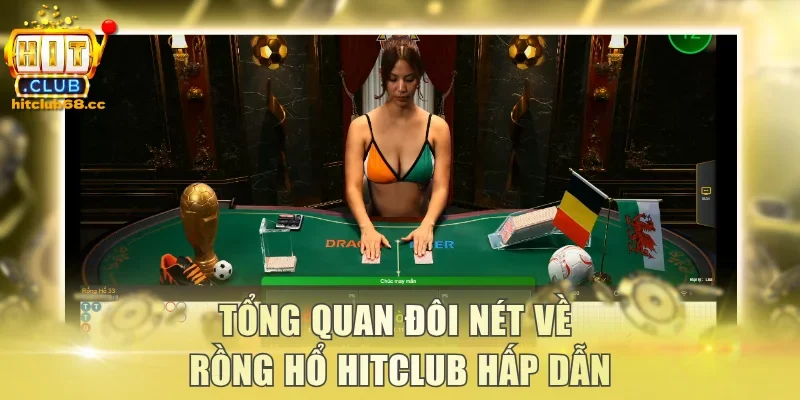 Tổng quan đôi nét về Rồng Hổ Hitclub hấp dẫn